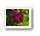 Bilder